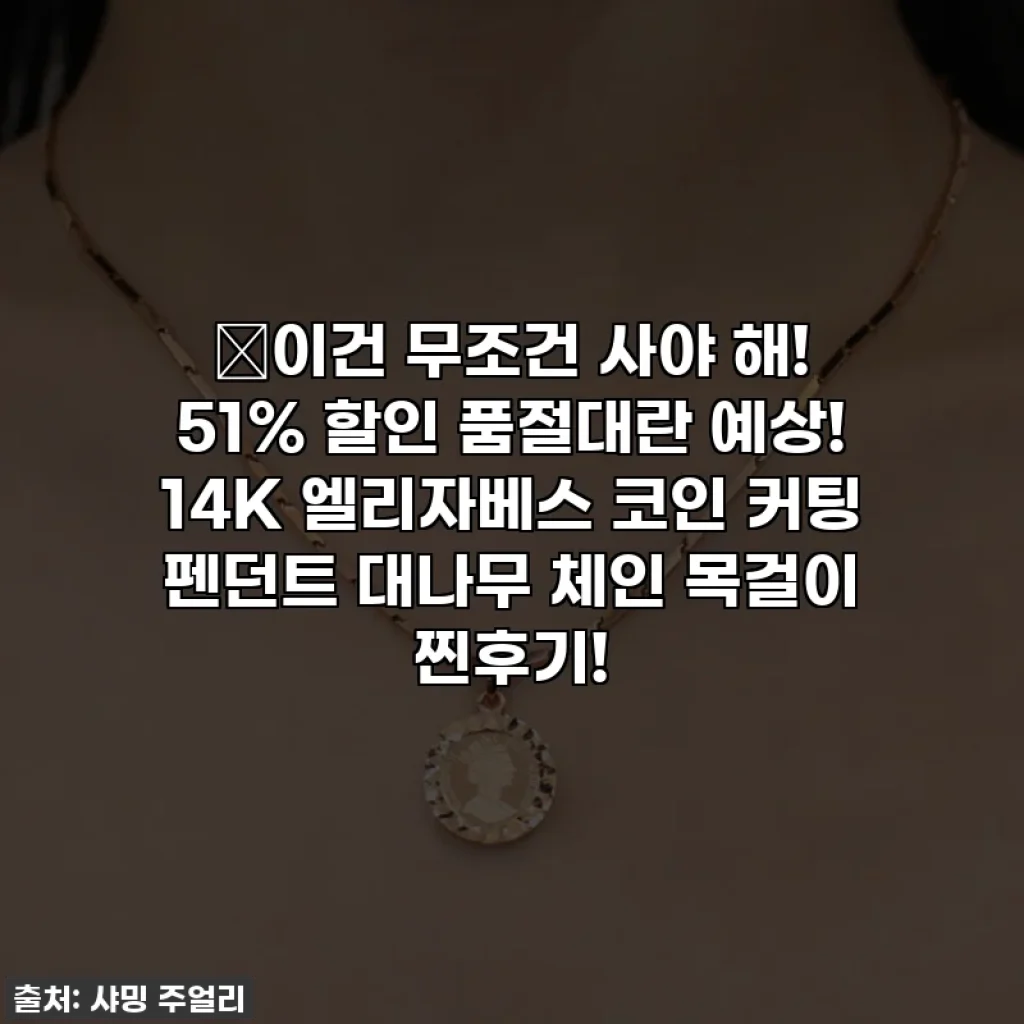 ✨이건 무조건 사야 해! 51% 할인 품절대란 예상! 14K 엘리자베스 코인 커팅 펜던트 대나무 체인 목걸이 찐후기!