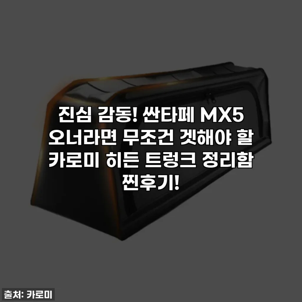 진심 감동! 싼타페 MX5 오너라면 무조건 겟해야 할 카로미 히든 트렁크 정리함 찐후기! ✨
