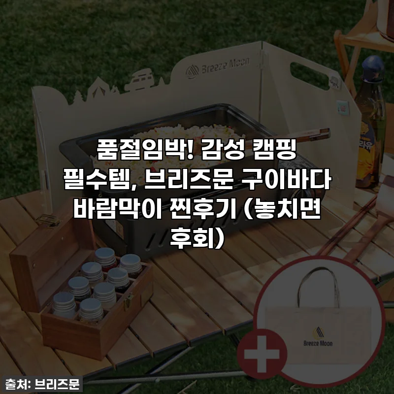 🔥 품절임박! 감성 캠핑 필수템, 브리즈문 구이바다 바람막이 찐후기 (놓치면 후회) 🔥
