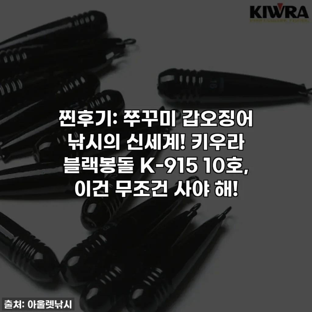 찐후기: 쭈꾸미 갑오징어 낚시의 신세계! 키우라 블랙봉돌 K-915 10호, 이건 무조건 사야 해!