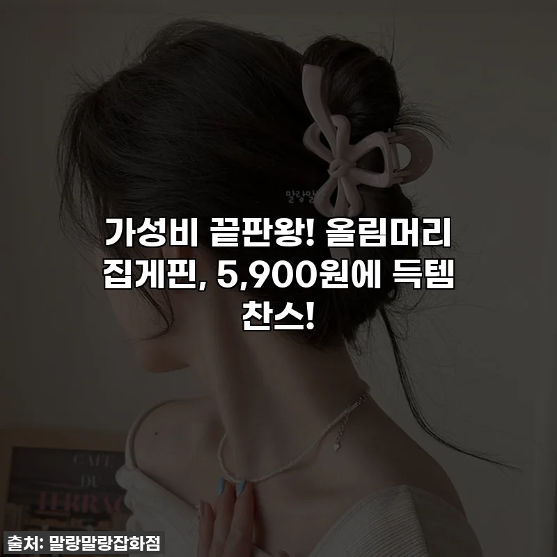 가성비 끝판왕! 🎀 올림머리 집게핀, 5,900원에 득템 찬스!