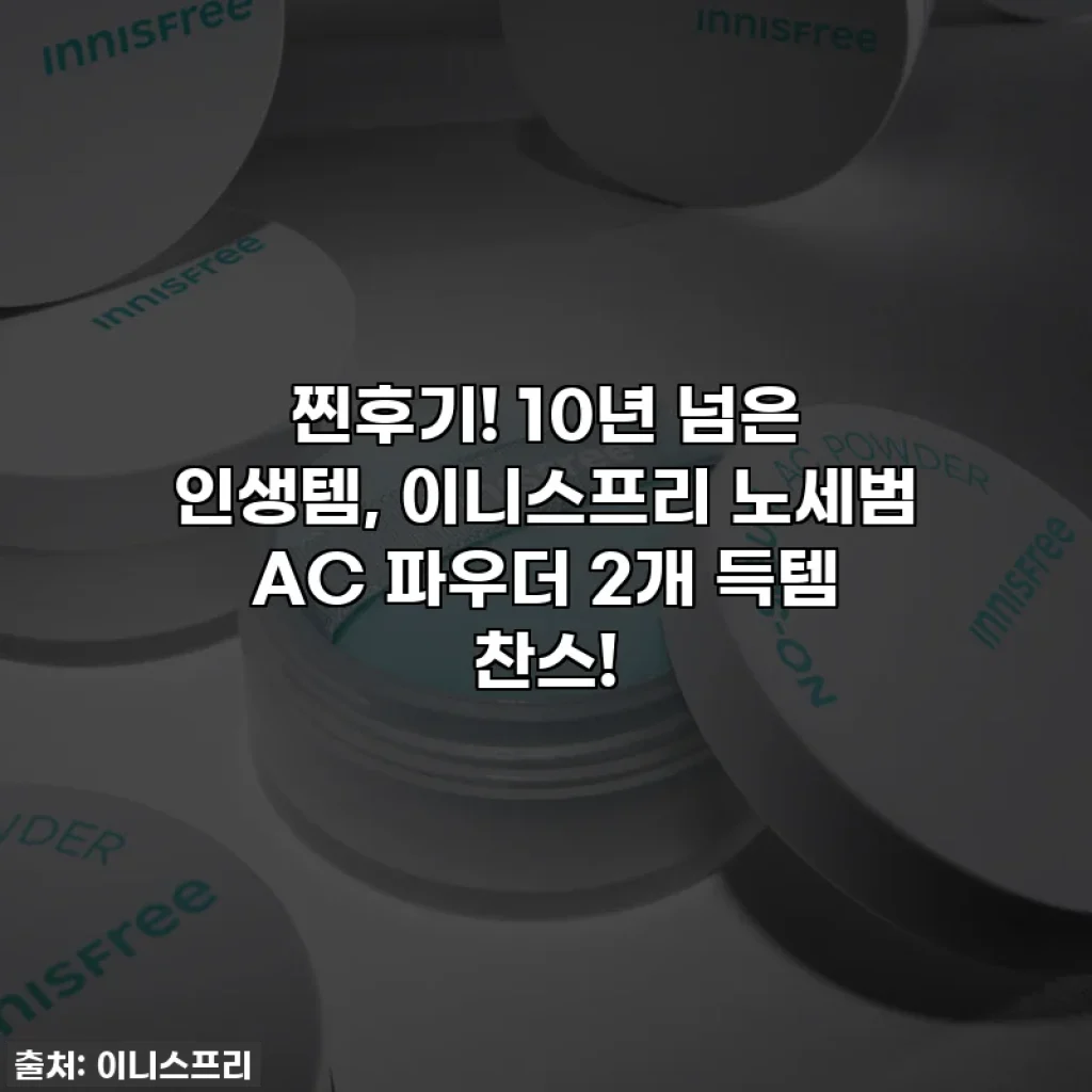 찐후기! 10년 넘은 인생템, 이니스프리 노세범 AC 파우더 2개 득템 찬스!