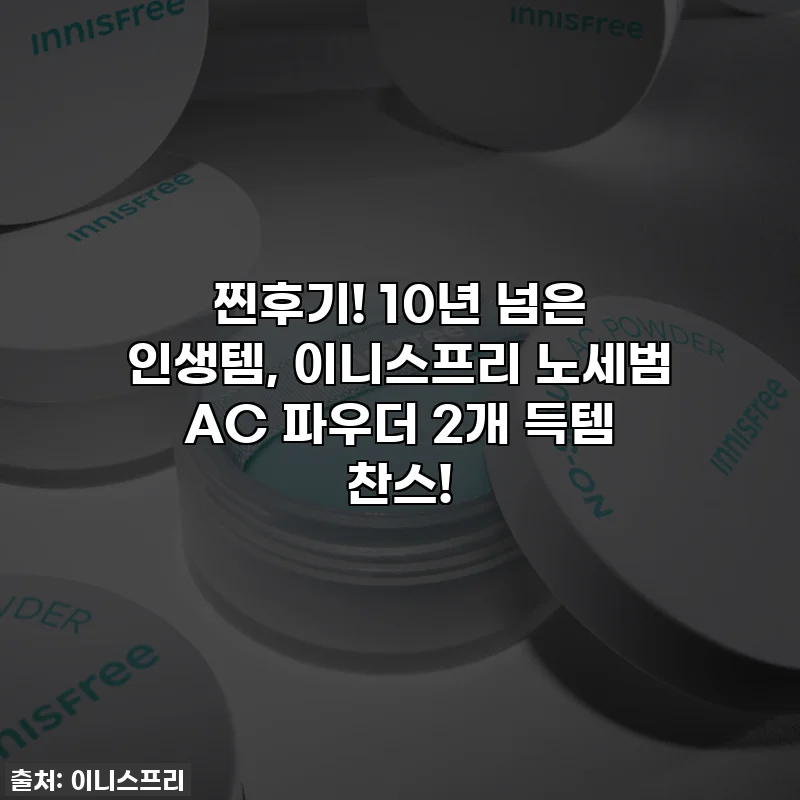 찐후기! 10년 넘은 인생템, 이니스프리 노세범 AC 파우더 2개 득템 찬스!