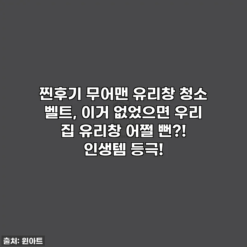 ✨찐후기✨ 무어맨 유리창 청소 벨트, 이거 없었으면 우리 집 유리창 어쩔 뻔?! 인생템 등극!