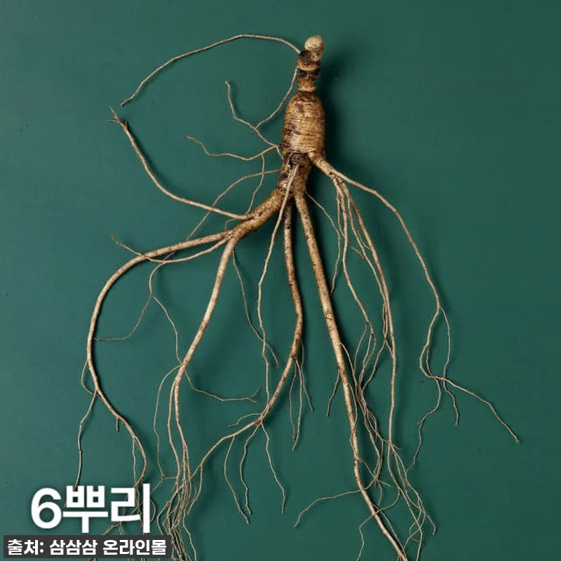 지금 안 사면 백퍼 후회! 10년근 관련 이미지 1