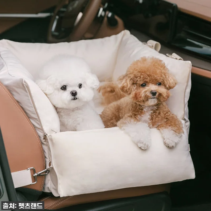 이건 진짜 '찐'이에요! 품절대란 ' 관련 이미지 2