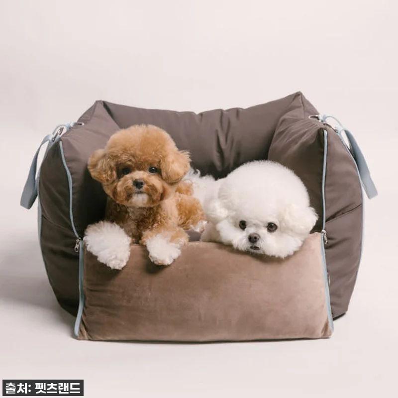 이건 진짜 '찐'이에요! 품절대란 ' 관련 이미지 6