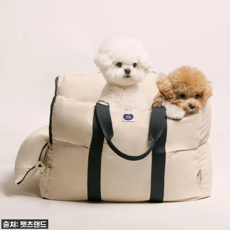 이건 진짜 '찐'이에요! 품절대란 ' 관련 이미지 7