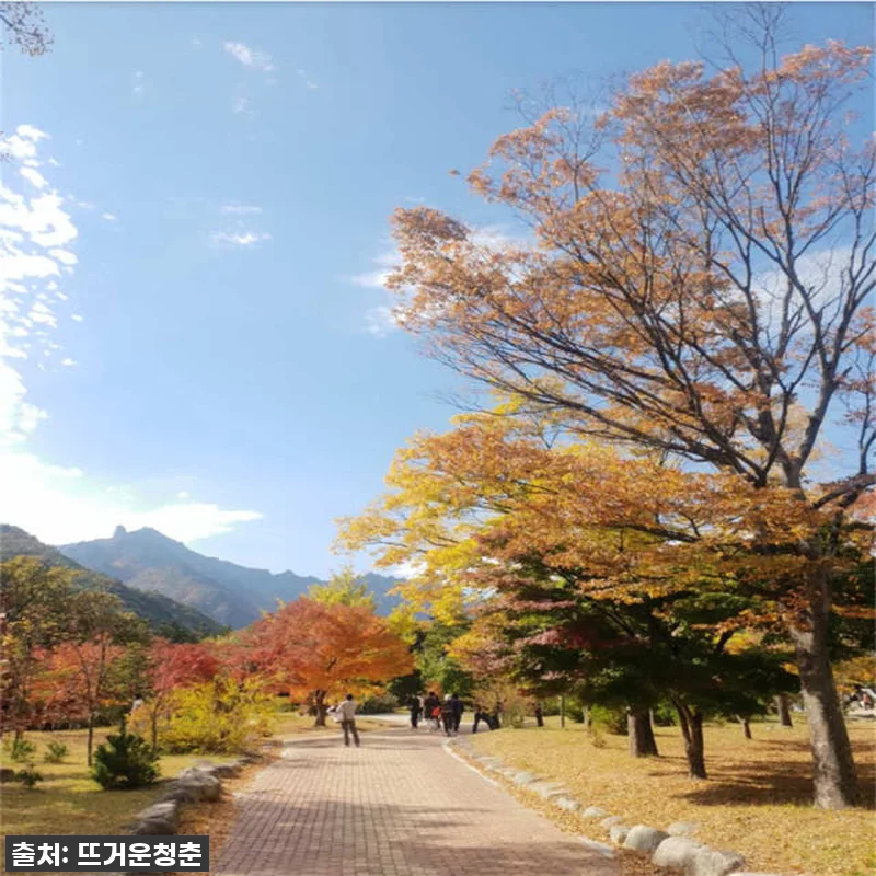 경주 포항 갯마을 차차차 촬영지 투어 관련 이미지 9
