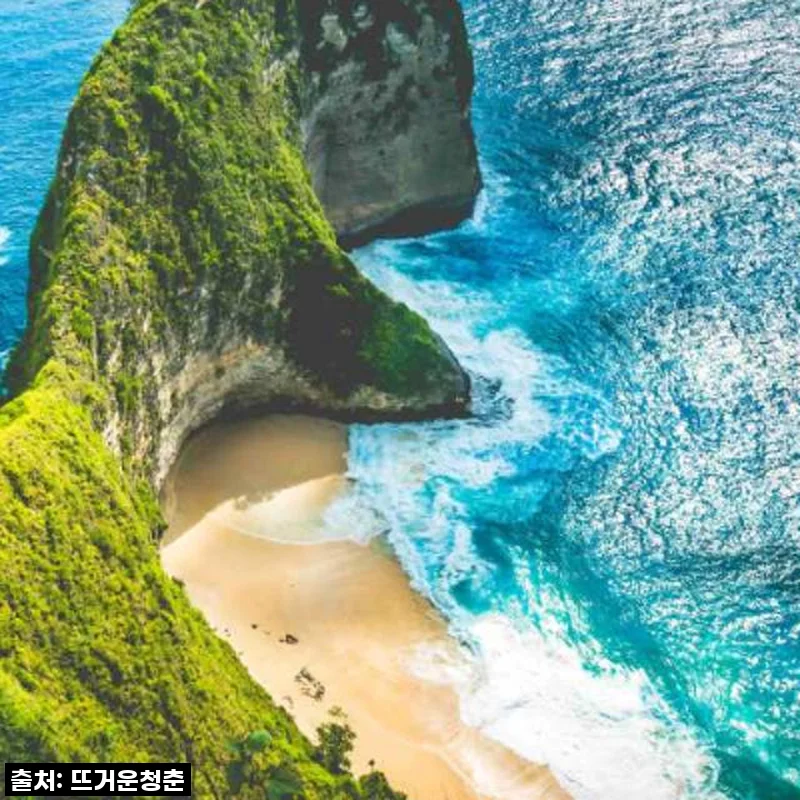 '인도네시아 발리 누사 페니다 서부 투어' 인생샷 명소 발견! ✨ 이 가격 실화냐? 🏝️