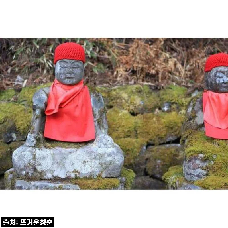 도쿄 근교 필수 코스! 닛코 개인 당일 여행, 직접 다녀오니 감동 그 자체!
