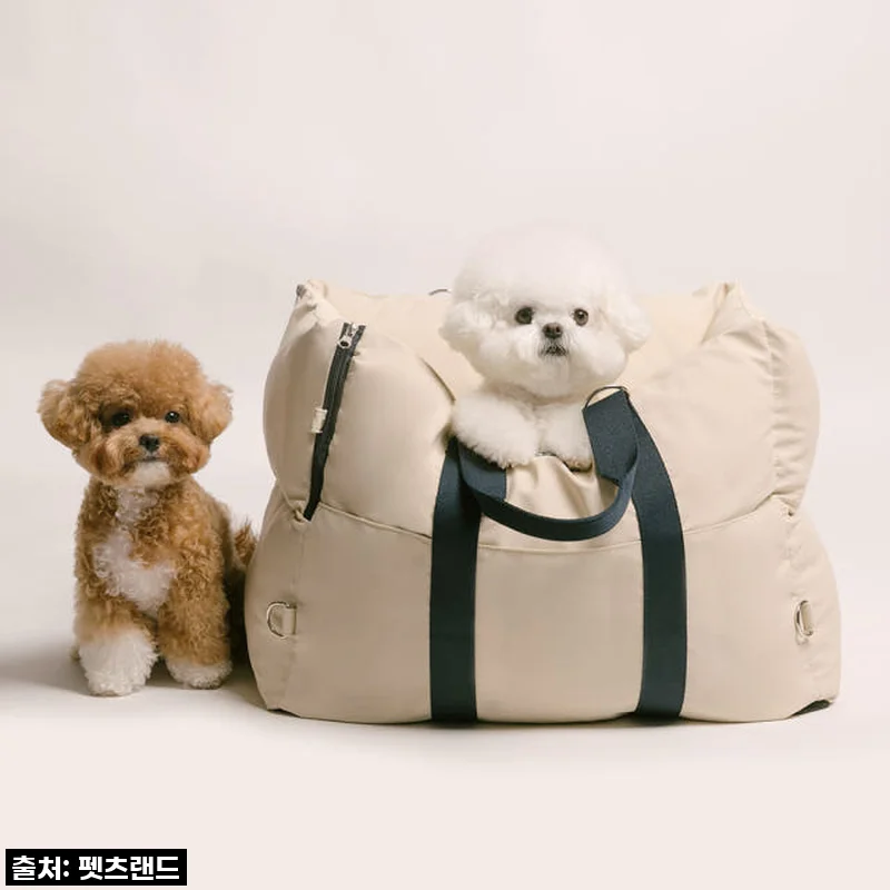 이건 진짜 '찐'이에요! 품절대란 '컴포라 강아지 카시트', 우리 댕댕이들의 인생템 등극!
