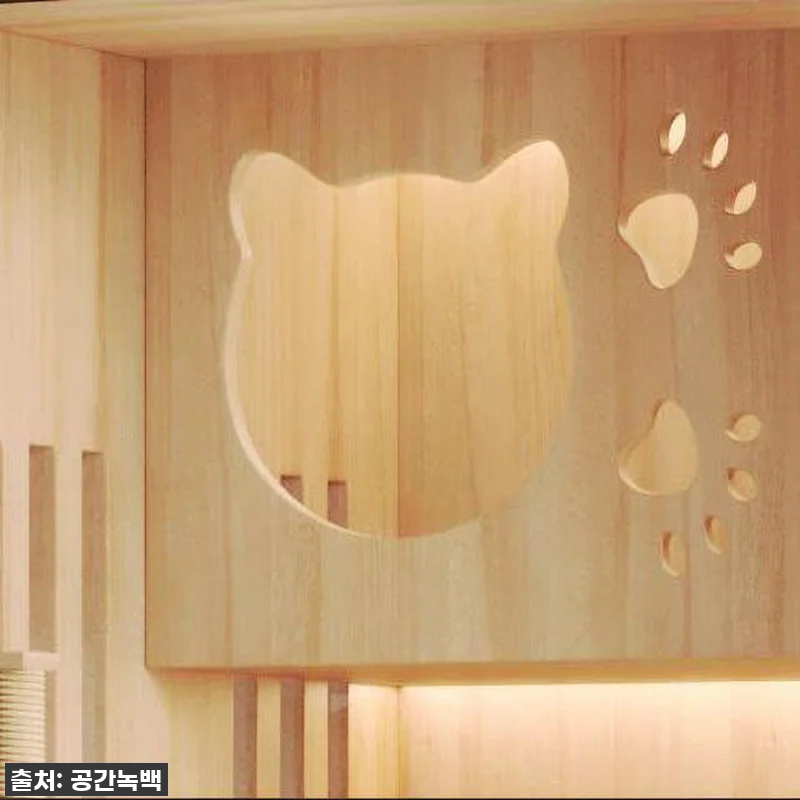 ✨ 드디어 영접! 공간녹백 고양이 호 관련 이미지 1