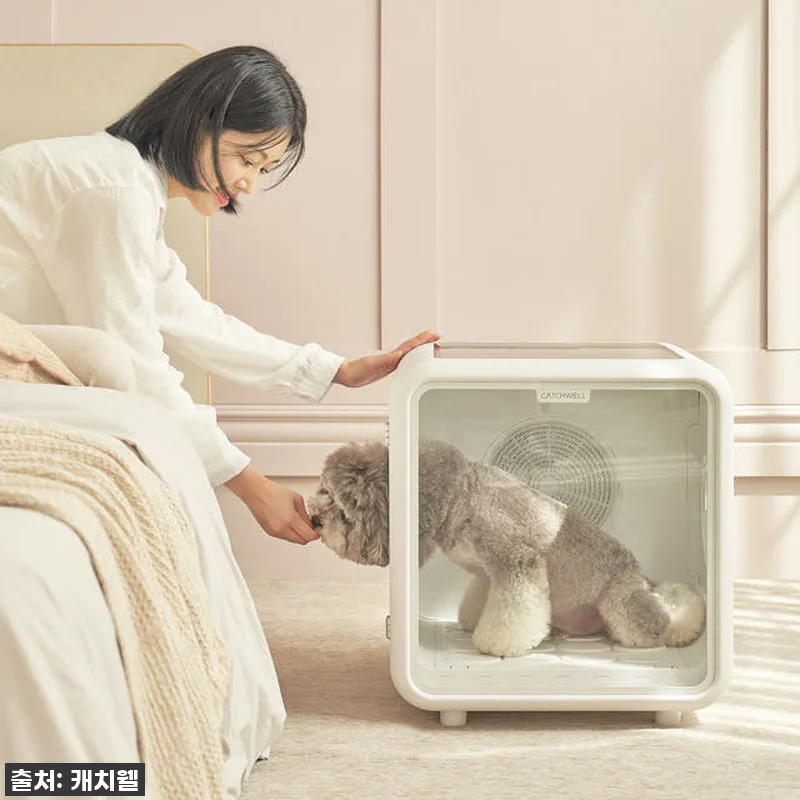 캐치웰 펫드라이룸, 강아지 목욕 후 관련 이미지 1