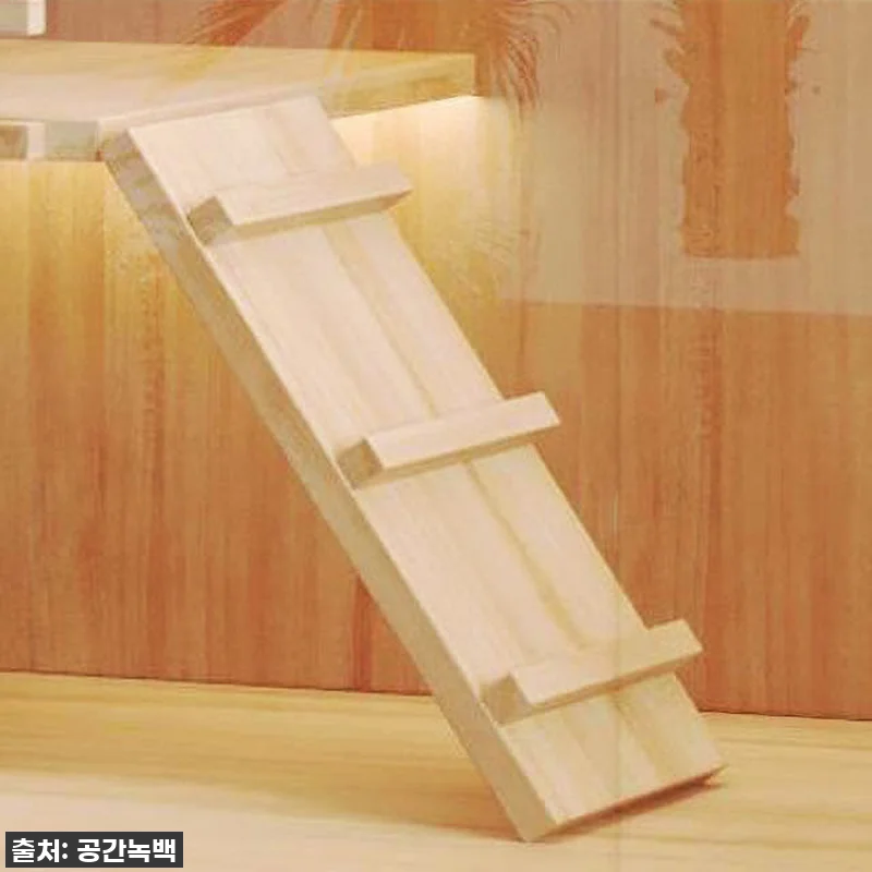 ✨ 드디어 영접! 공간녹백 고양이 호 관련 이미지 3