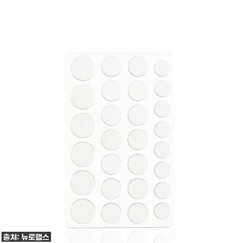 환절기 면역력 비상! 뉴로랩스 라이티 관련 이미지 4