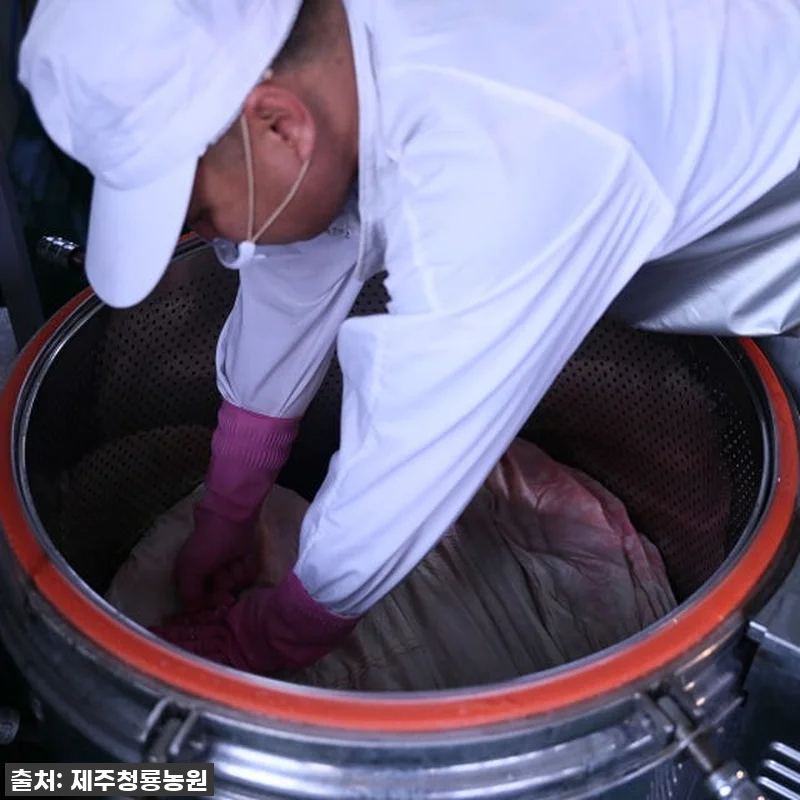 환절기 건강 지킴이? 제주산 자색당근 관련 이미지 4