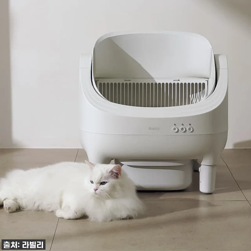 우리 냥이도 행복, 집사도 행복! 라 관련 이미지 4