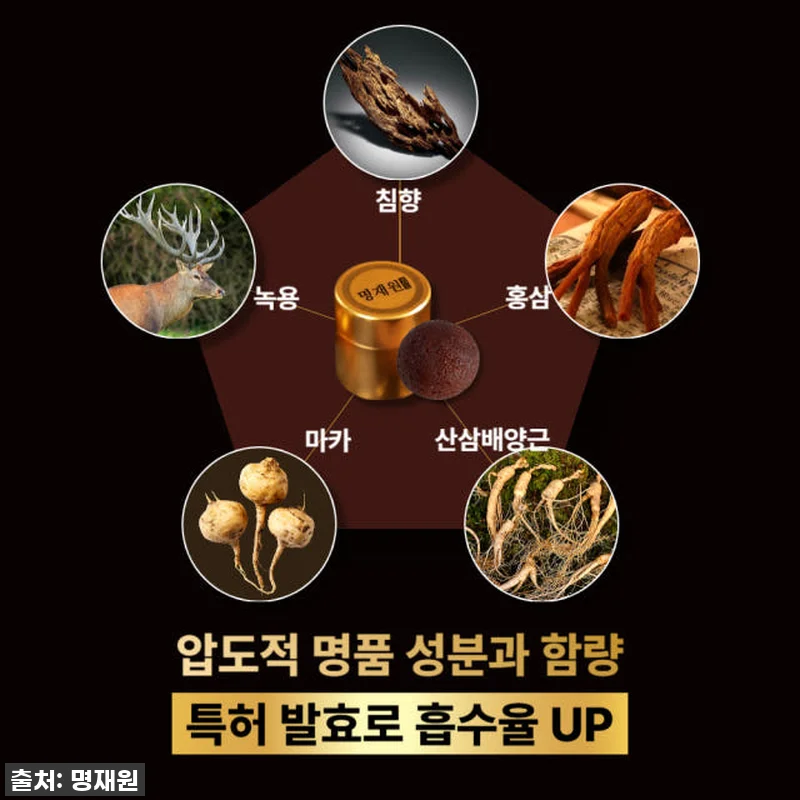 명재원 발효 침향환 산삼 침향환 말라 관련 이미지 4