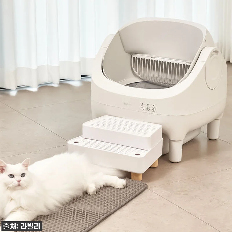 우리 냥이도 행복, 집사도 행복! 라 관련 이미지 6