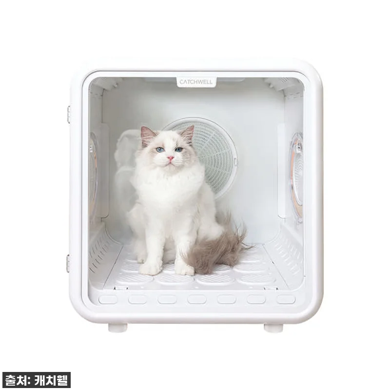 캐치웰 펫드라이룸, 강아지 목욕 후 관련 이미지 7
