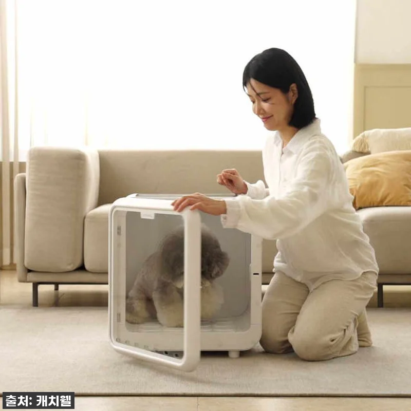 캐치웰 펫드라이룸, 강아지 목욕 후 관련 이미지 8