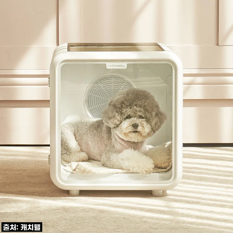 캐치웰 펫드라이룸, 강아지 목욕 후 찾아온 평화! 직접 사용해본 후기