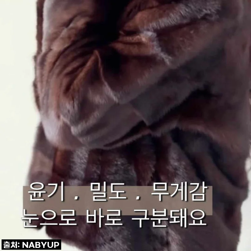 입는 순간 시선 강탈! 여성 천연밍크코트 호리젠탈 퍼, 직접 입어본 생생 후기