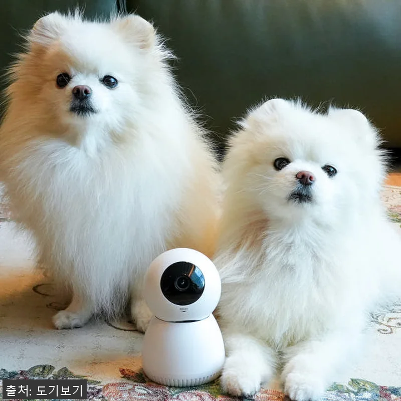 도기캠 2개 패키지 AI 펫캠 사용후 관련 이미지 1