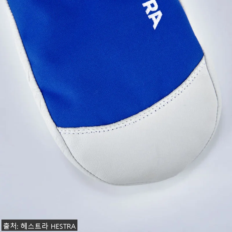 헤스트라 와카야마 주니어 미트 로얄 관련 이미지 3