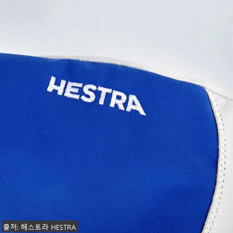 헤스트라 와카야마 주니어 미트 로얄 관련 이미지 4