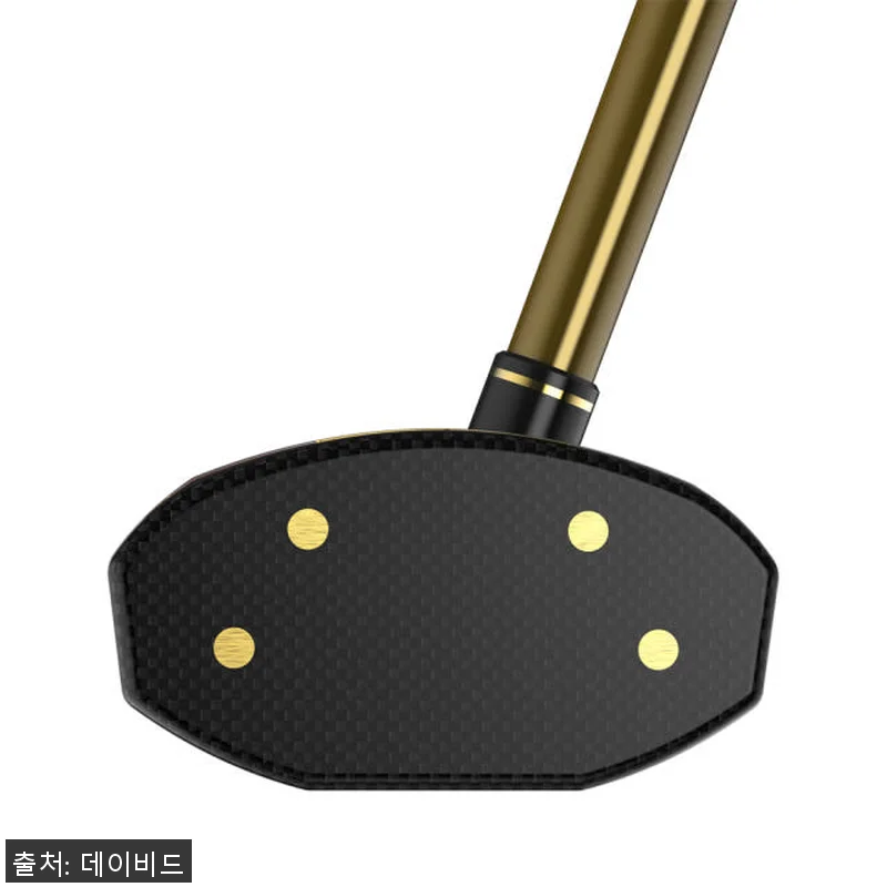 데이비드 파크골프채 DP101 브라운 관련 이미지 4