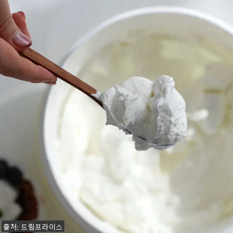 한경희 요거쿡 2.8리터 대용량 유청 관련 이미지 7