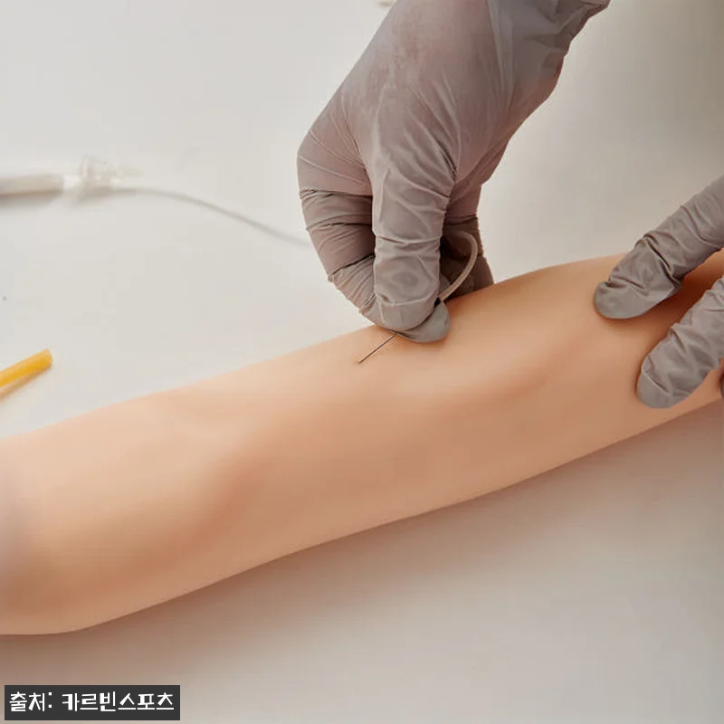 정맥 주사 연습 IV 간호 모형 사용 후기: 실제 연습에 딱 맞는 실습 도구 20 정맥 주사 연습 IV 간호 모형 사용 관련 이미지 9