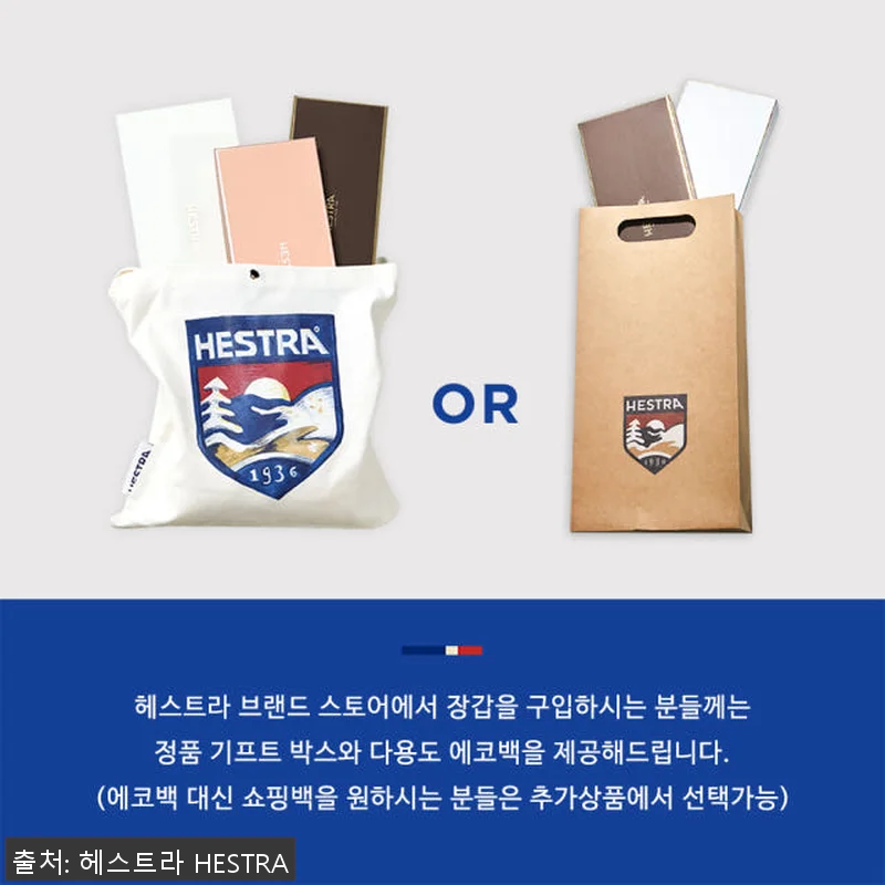 헤스트라 와카야마 주니어 미트 로얄 관련 이미지 10