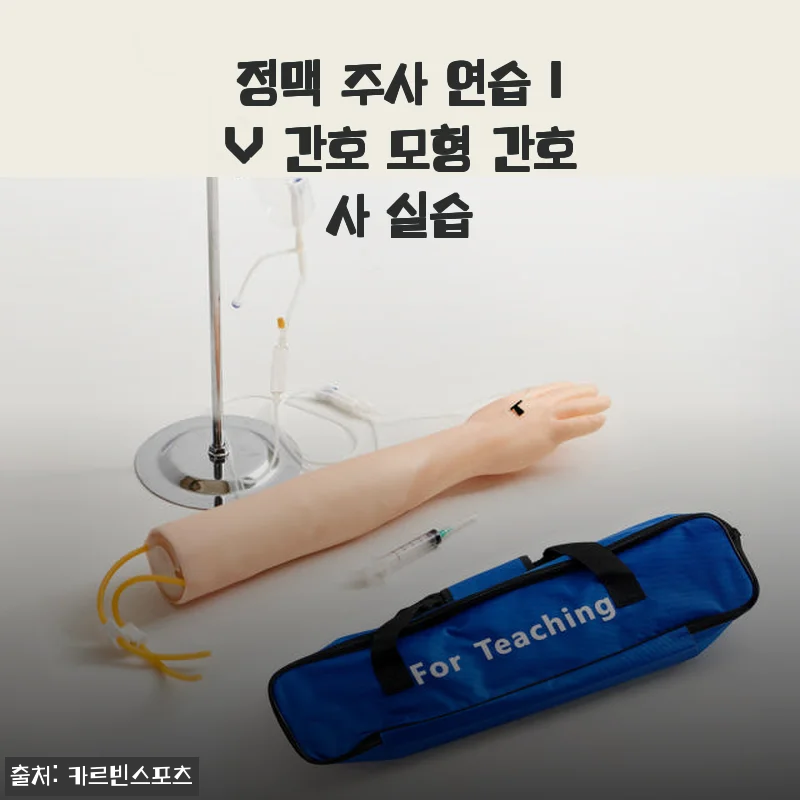 정맥 주사 연습 IV 간호 모형 사용 후기: 실제 연습에 딱 맞는 실습 도구