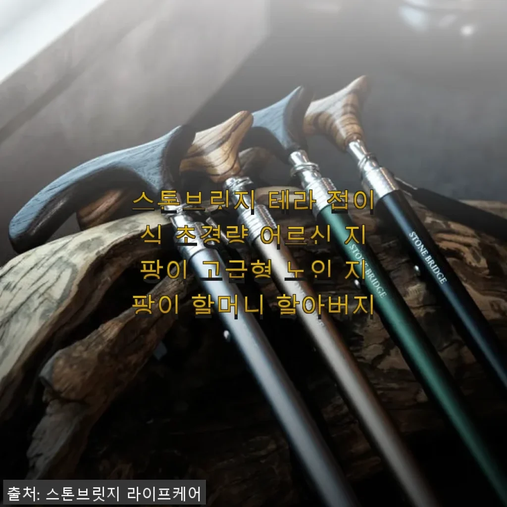 스톤브릿지 테라 접이식 초경량 어르신 지팡이 고급형 사용후기