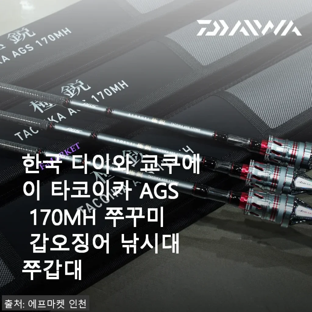 한국 다이와 쿄쿠에이 타코이카 AGS 170MH 쭈꾸미 갑오징어 낚시대 사용후기