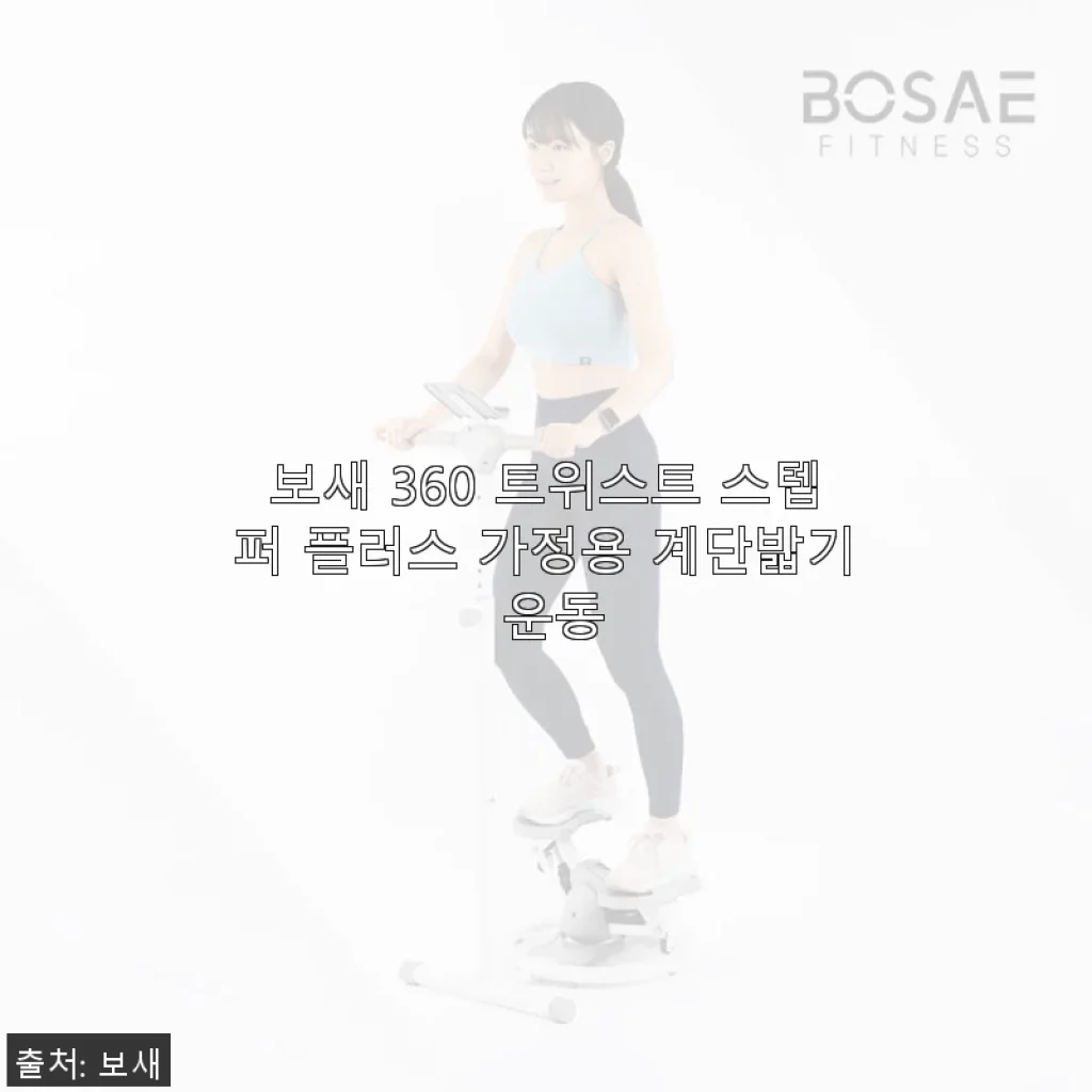 보새 360 트위스트 스텝퍼 플러스 가정용 계단밟기 운동, 직접 사용해본 솔직 후기