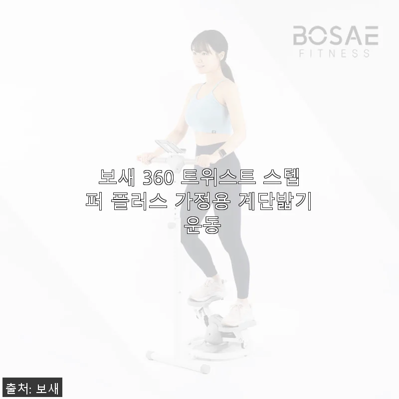 보새 360 트위스트 스텝퍼 플러스 가정용 계단밟기 운동, 직접 사용해본 솔직 후기