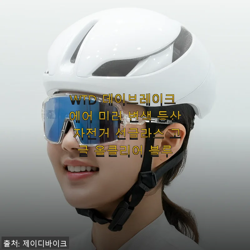 WTD 데이브레이크 에어 미러 변색 등산 자전거 선글라스 사용후기