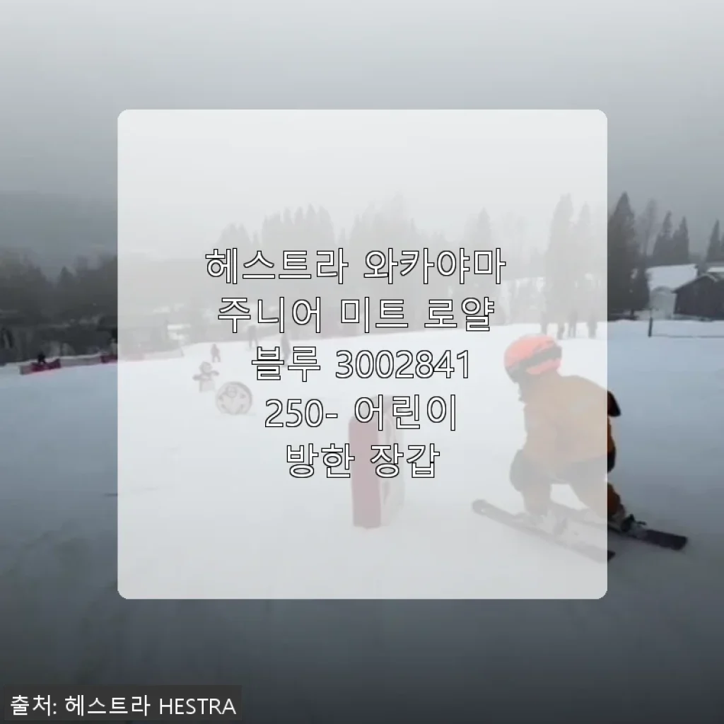 헤스트라 와카야마 주니어 미트 로얄 블루 3002841 250 - 어린이 방한 장갑 사용후기
