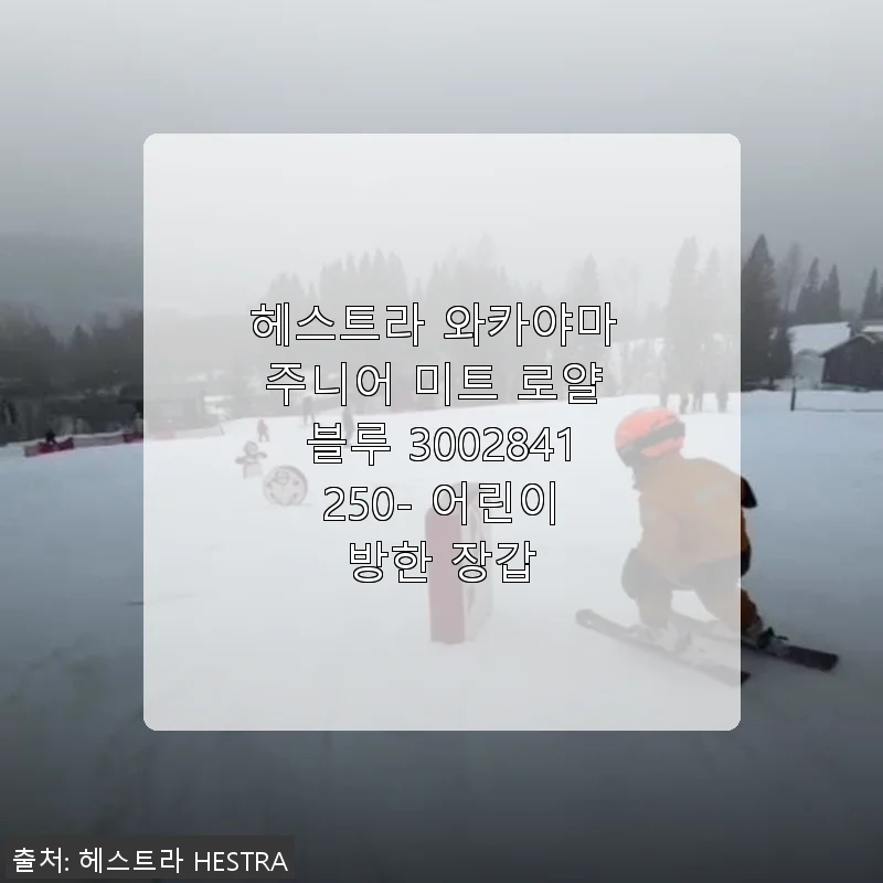 헤스트라 와카야마 주니어 미트 로얄 블루 3002841 250 - 어린이 방한 장갑 사용후기
