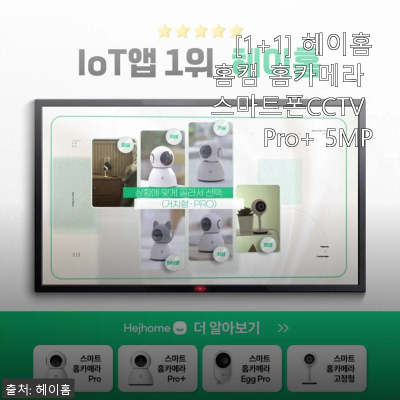 [1+1] 헤이홈 홈캠 홈카메라 스마트폰CCTV Pro+ 5MP 사용후기