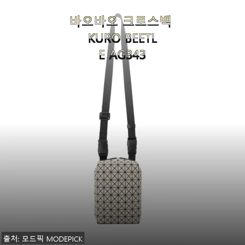 바오바오 크로스백 KURO BEETLE AG343 사용후기 및 상세 소개