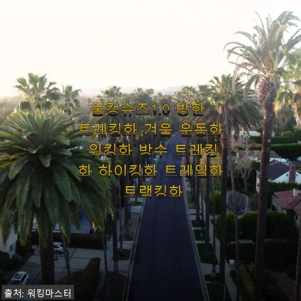 물컹슈즈1.0 방한 트레킹화 사용후기: 겨울철 발 편안함의 새로운 발견