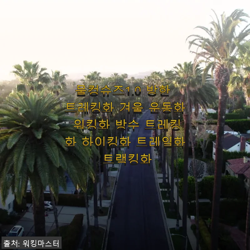 물컹슈즈1.0 방한 트레킹화 사용후기: 겨울철 발 편안함의 새로운 발견
