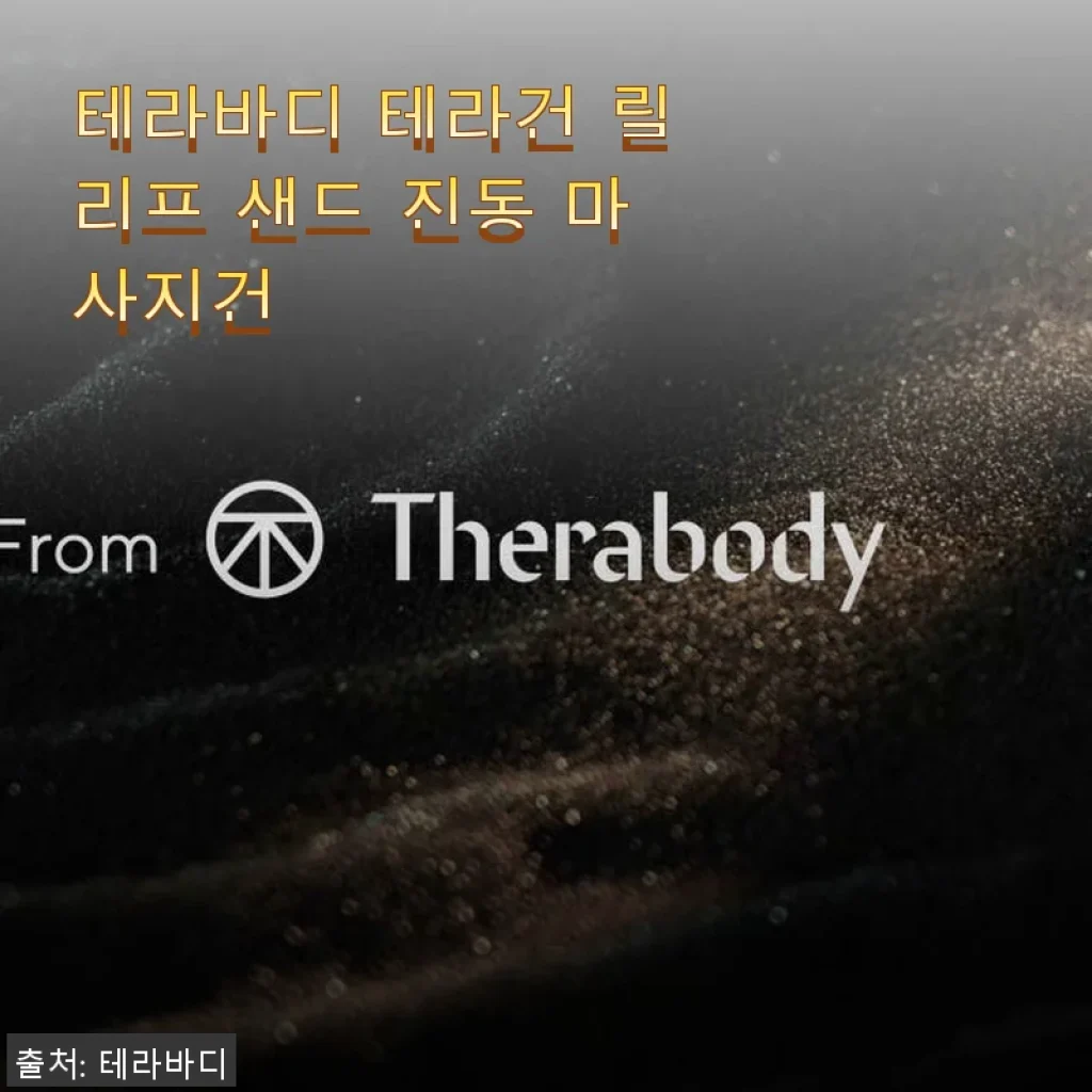 테라바디 테라건 릴리프 샌드 진동 마사지건 사용후기