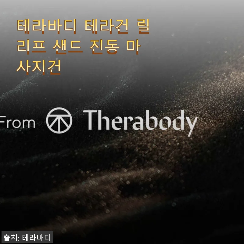 테라바디 테라건 릴리프 샌드 진동 마사지건 사용후기
