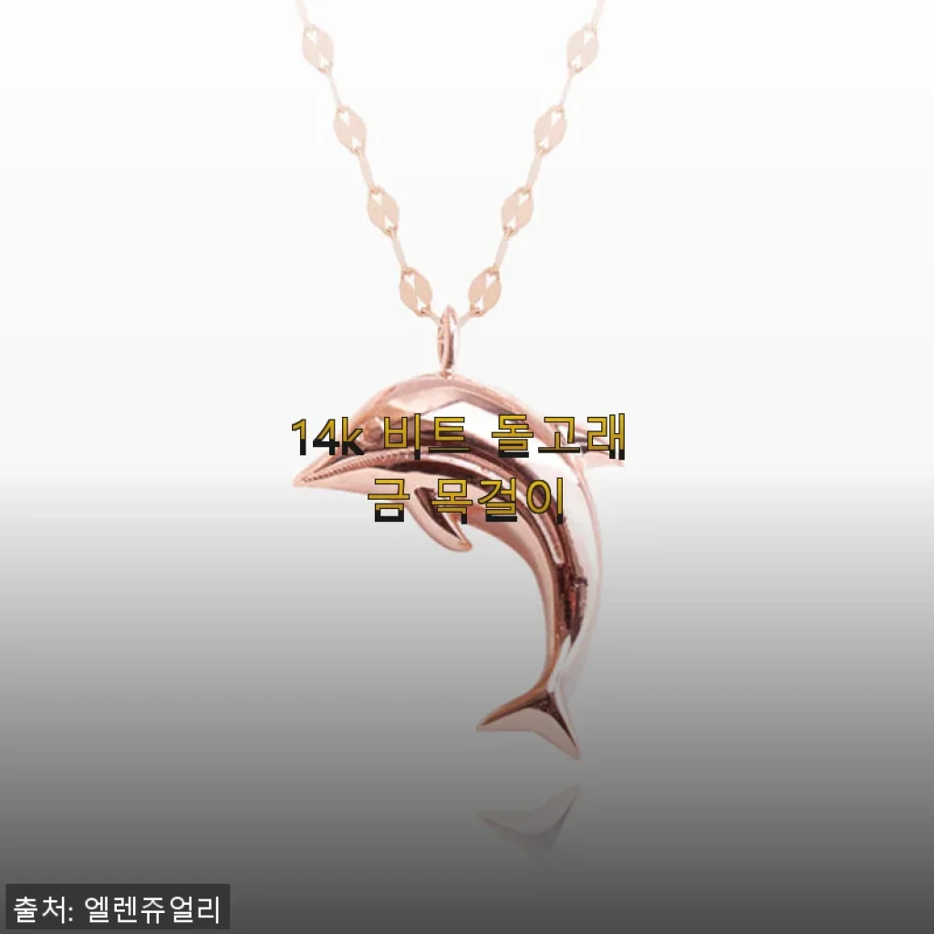 14k 비트 돌고래 금 목걸이 사용후기 – 세련된 디자인과 착용감이 돋보이는 데일리 쥬얼리